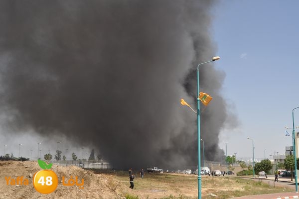 fireramlasejn4288 (3).JPG